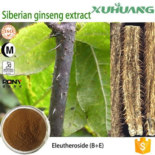 Sibirischer Ginseng-Extrakt - - pharmakologische Wirkungen