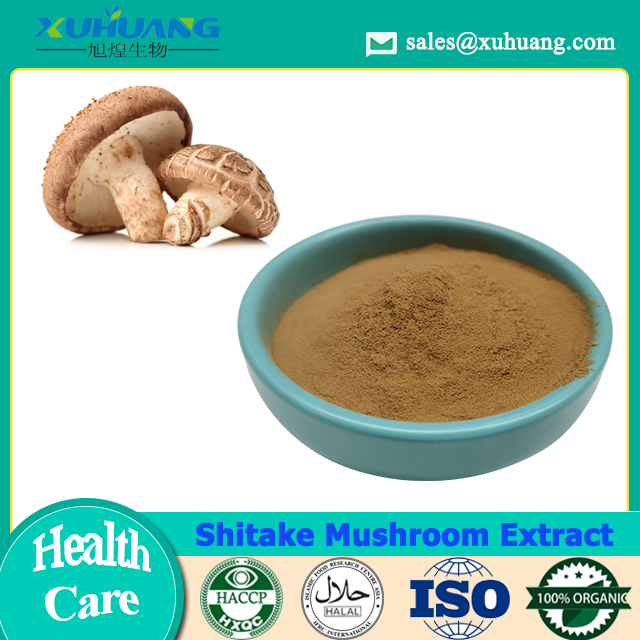 Shiitake Pilzextrakt