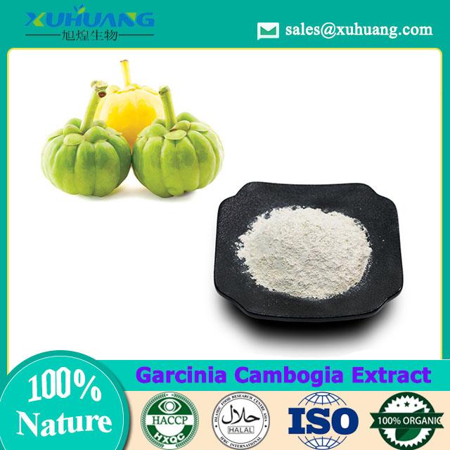 Garcinia Cambogia-Extrakt