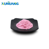 Rotes Pitaya-Pulver