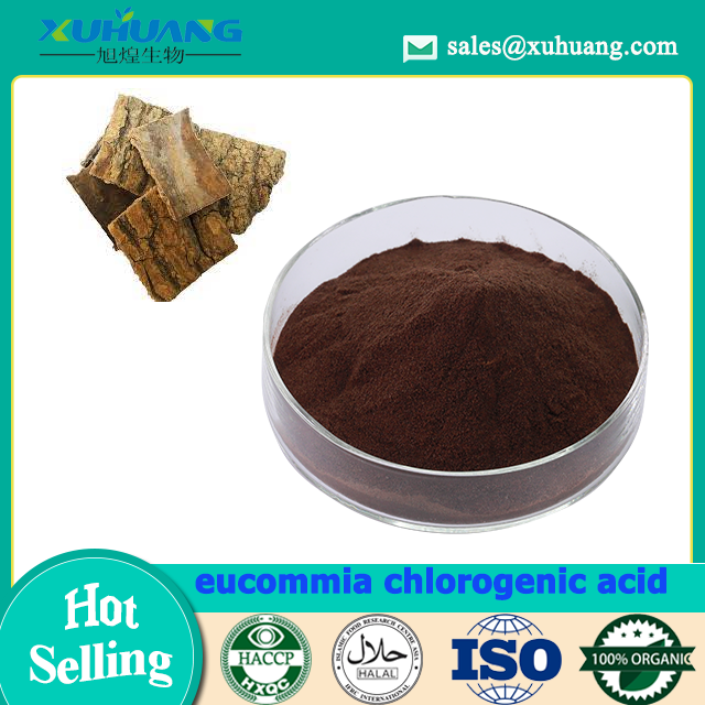 Eucommia Chlorogensäure