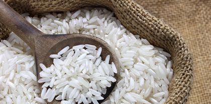 Die Wirkung von Reisproteinpulver