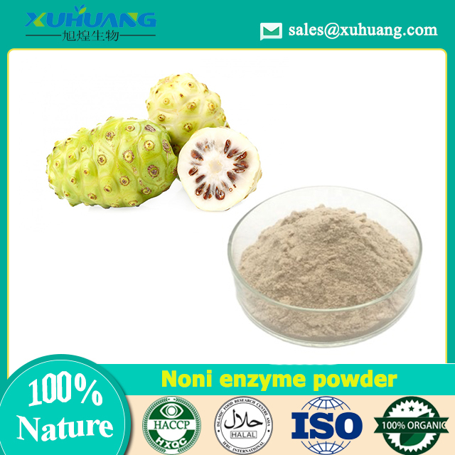 Noni-Enzym-Pulver