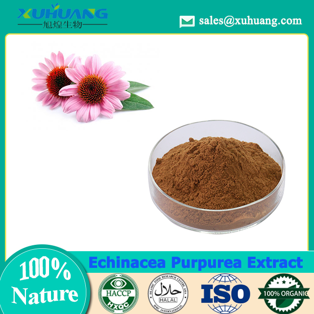 Echinacea Purpurea-Extrakt