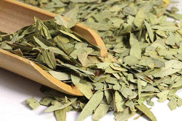Funktioniert Senna Blatt extrahiert?